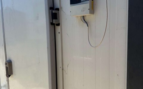 blueberry-yabanmersini (14)