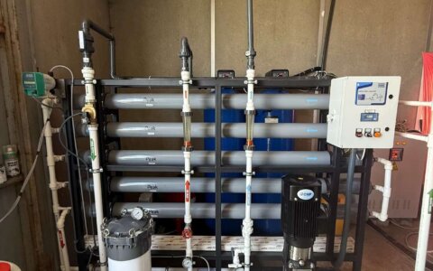 blueberry-yabanmersini (19)