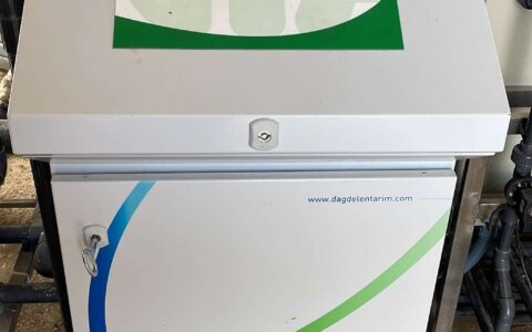 blueberry-yabanmersini (5)